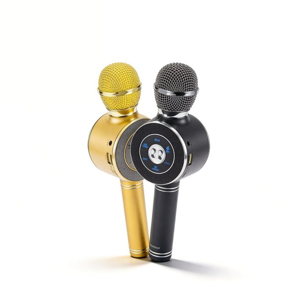 WS-668 Wireless Bluetooth Karaoke Microphone Speaker with Karaoke FM Radio USB/TF Handheld Mic