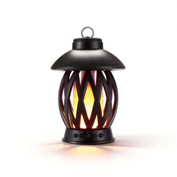 WS-S06 Bluetooth Speaker with Multi-functional Wireless Loudspeaker