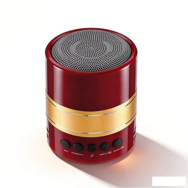WS-2901 Bluetooth Speaker with FM Radio USB/TF Recording Wireless Loudspeaker