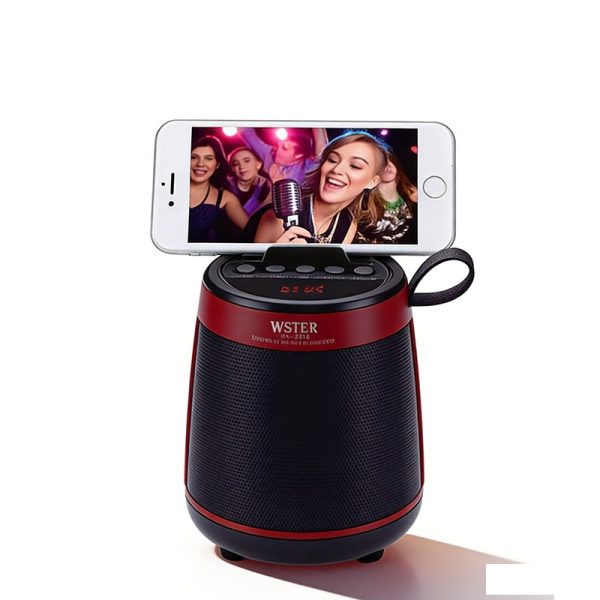 WS-2816 Bluetooth Speaker with FM Radio USB/TF Recording Wireless Loudspeaker