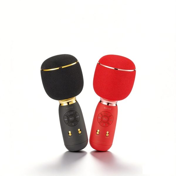 WS-1885 Wireless Bluetooth Karaoke Microphone Speaker with FM Radio USB/TF Recording Handheld Mic