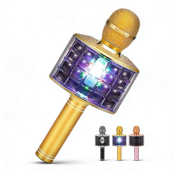 WS-868 Wireless Bluetooth Karaoke Microphone Speaker with FM Radio USB/TF Recording Handheld Mic