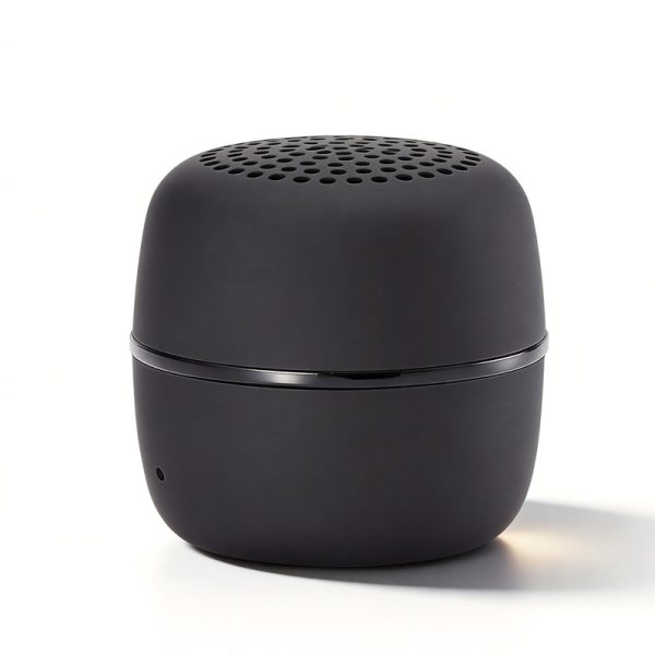 WS-801 Mini Portable Bluetooth Speaker with FM Radio USB/TF Compact Size Pocket Speaker